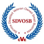 Logo CVE - large